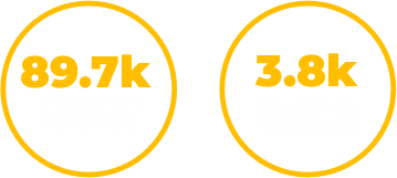 seguidores info